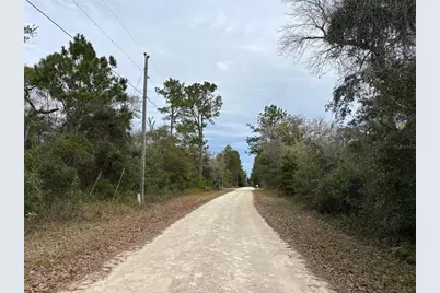 Lot 12 Carolina Dove Road, Brooksville, FL 34614 - Photo 6