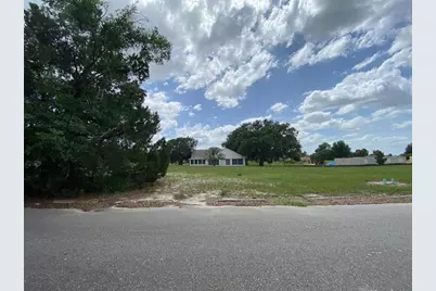 Lot 194 Chestnut Ridge Road, Dade City, FL 33523 - Photo 1