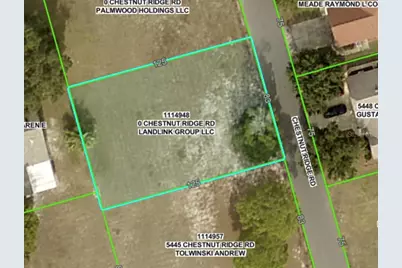 Lot 194 Chestnut Ridge Road, Dade City, FL 33523 - Photo 2