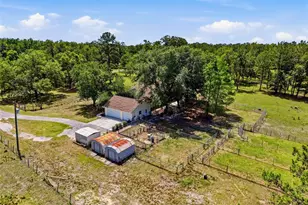 3245 Rackley Rd, Brooksville, FL 34604 - Photo 56