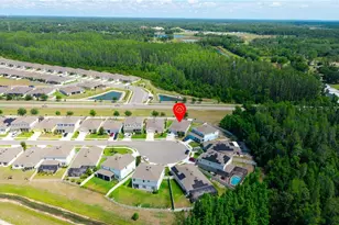 18379 Falling Pine Needle Ln, Land O Lakes, FL 34638 - Photo 34