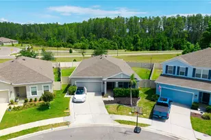 18379 Falling Pine Needle Ln, Land O Lakes, FL 34638 - Photo 1