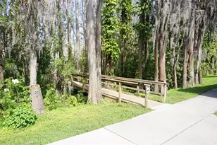 20853 Haulover Cove, Lutz, FL 33558 - Photo 30