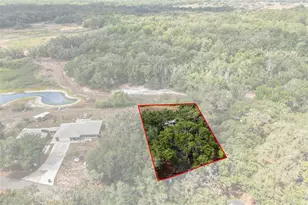 34575 Orchid Pkwy, Dade City, FL 33523 - Photo 50