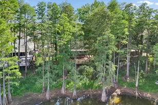 3410 Laurel Dale Dr, Tampa, FL 33618 - Photo 96