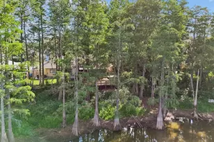 3410 Laurel Dale Dr, Tampa, FL 33618 - Photo 98