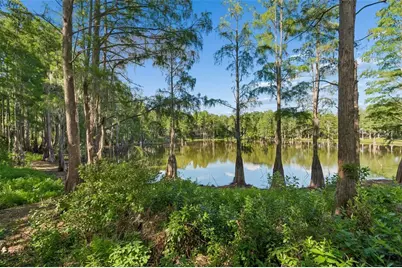 3410 Laurel Dale Drive, Tampa, FL 33618 - Photo 22