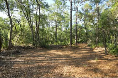 7982 W Mayfair Drive, Homosassa, FL 34448 - Photo 6
