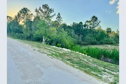 Rapidan Road, Weeki Wachee, FL 34614 - Photo 6