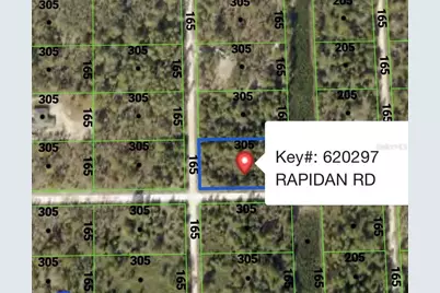 Rapidan Road, Weeki Wachee, FL 34614 - Photo 4
