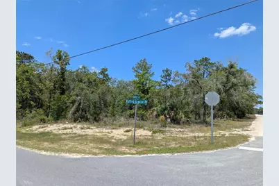 Goldfinch Road, Weeki Wachee, FL 34614 - Photo 6