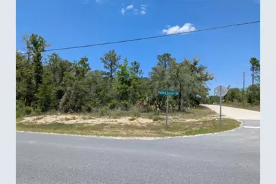 Goldfinch Road, Weeki Wachee, FL 34614 - Photo 8