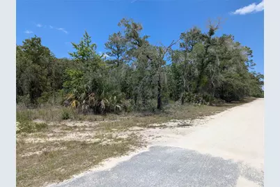 Goldfinch Road, Weeki Wachee, FL 34614 - Photo 10