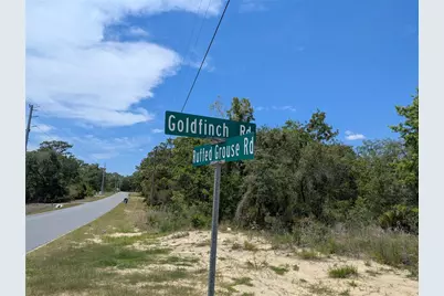 Goldfinch Road, Weeki Wachee, FL 34614 - Photo 4