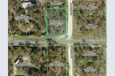 Goldfinch Road, Weeki Wachee, FL 34614 - Photo 2