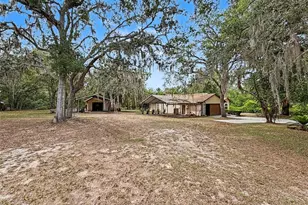 7111 Ricker Ave, Webster, FL 33597 - Photo 4