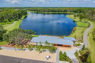 4275 Burdick Loop, Odessa, FL 33556 - Photo 72
