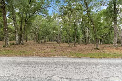 6341 Nile Avenue, Webster, FL 33597 - Photo 6