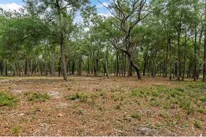 6341 Nile Avenue, Webster, FL 33597 - Photo 2