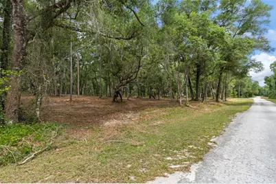 6341 Nile Avenue, Webster, FL 33597 - Photo 4
