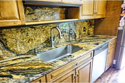 1873 Mazo Manor #5, Lutz, FL 33558 - Photo 4