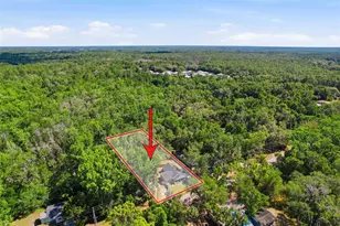 317 NE 13th Terrace, Crystal River, FL 34428 - Photo 54