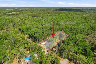 317 NE 13th Terrace, Crystal River, FL 34428 - Photo 10