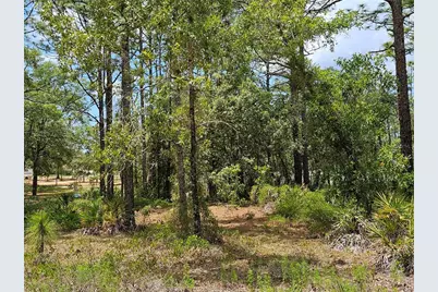 0 Song Sparrow Avenue, Weeki Wachee, FL 34614 - Photo 12