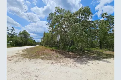 0 Song Sparrow Avenue, Weeki Wachee, FL 34614 - Photo 6