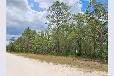 0 Song Sparrow Avenue, Weeki Wachee, FL 34614 - Photo 10