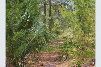 0 Song Sparrow Avenue, Weeki Wachee, FL 34614 - Photo 24