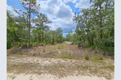 0 Song Sparrow Avenue, Weeki Wachee, FL 34614 - Photo 18