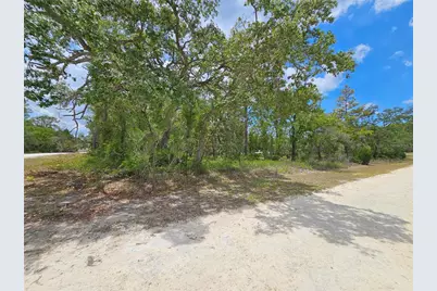 0 Song Sparrow Avenue, Weeki Wachee, FL 34614 - Photo 8