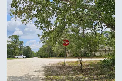 0 Song Sparrow Avenue, Weeki Wachee, FL 34614 - Photo 4