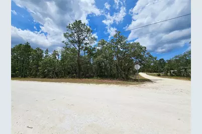 0 Song Sparrow Avenue, Weeki Wachee, FL 34614 - Photo 1