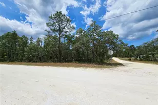 0 Song Sparrow Ave, Weeki Wachee, FL 34614 - Photo 1