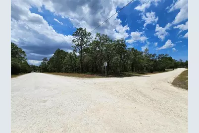 0 Song Sparrow Avenue, Weeki Wachee, FL 34614 - Photo 2