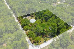 6550 SE Debra Ave, Inglis, FL 34449 - Photo 36