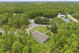 39 Milbark Dr, Homosassa, FL 34446 - Photo 52