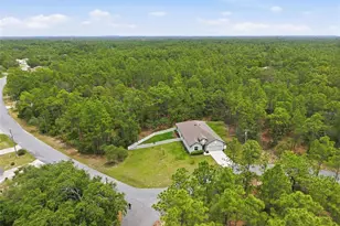 39 Milbark Dr, Homosassa, FL 34446 - Photo 54