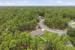 39 Milbark Dr, Homosassa, FL 34446 - Photo 50