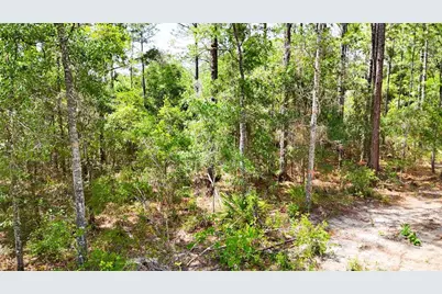 0 Windhaven Lane, Brooksville, FL 34614 - Photo 10