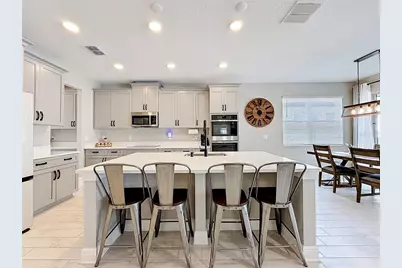 33163 Sycamore Leaf Drive, Wesley Chapel, FL 33545 - Photo 10
