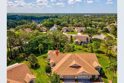 1462 Shady Brook Court, Spring Hill, FL 34606 - Photo 52