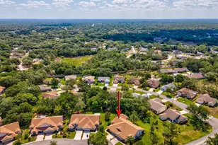 1462 Shady Brook Ct, Spring Hill, FL 34606 - Photo 64