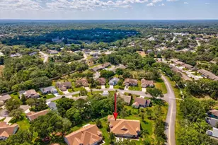 1462 Shady Brook Ct, Spring Hill, FL 34606 - Photo 56