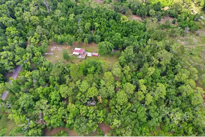 12220 Timber Lane, Brooksville, FL 34601 - Photo 54