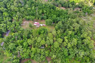 12220 Timber Ln, Brooksville, FL 34601 - Photo 54
