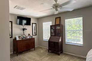 17535 Stinchar Dr, Land O Lakes, FL 34638 - Photo 12