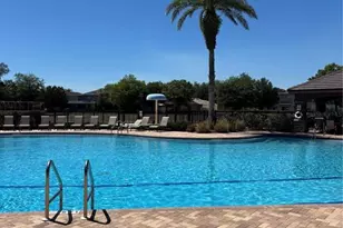 17535 Stinchar Dr, Land O Lakes, FL 34638 - Photo 26